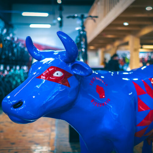 Blue cow sculpture with red painted designs on its eyes and body, placed inside a bicycle store with wooden flooring and racks of bicycles in the background.