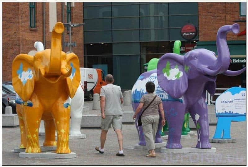 Poznan advertising elephants 2 Kolorowe rzeźby słoni na wystawie plenerowej, oglądane przez dwie osoby.