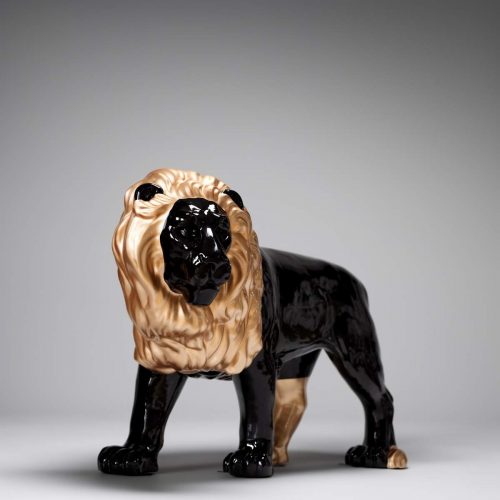 Lion with golden mane