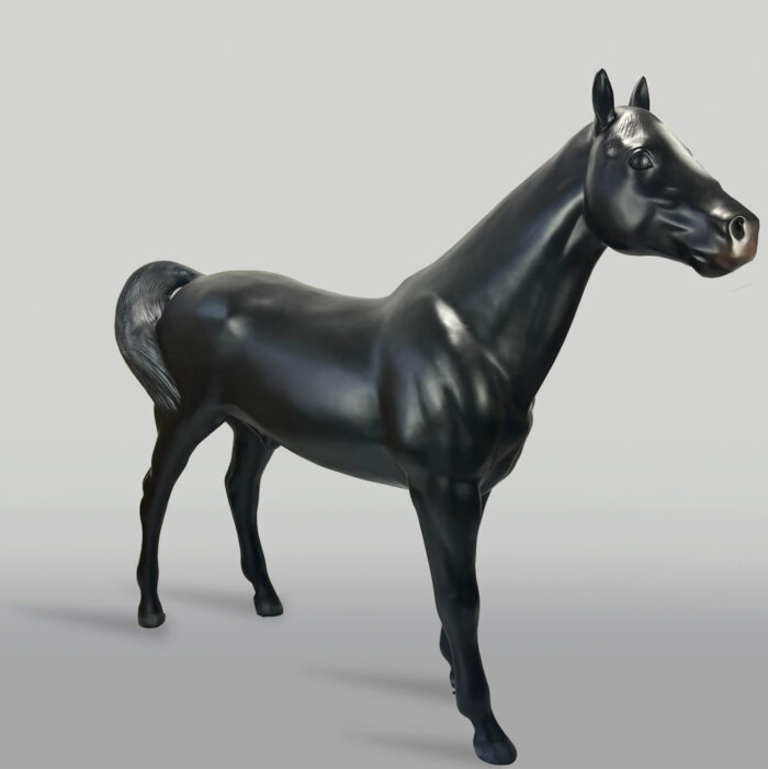 kon czarny 2