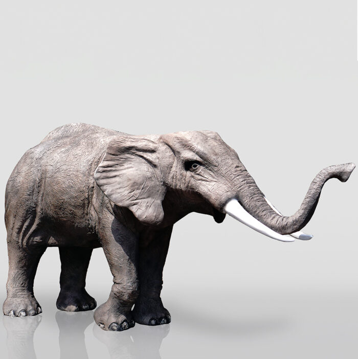 African elephant with large tusks and raised trunk on a light background.