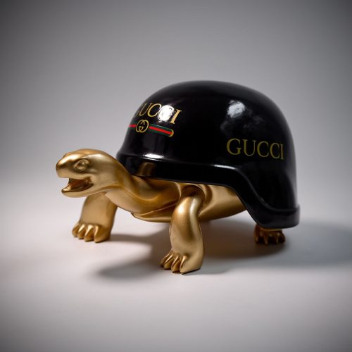 Turtle in Helmet – G