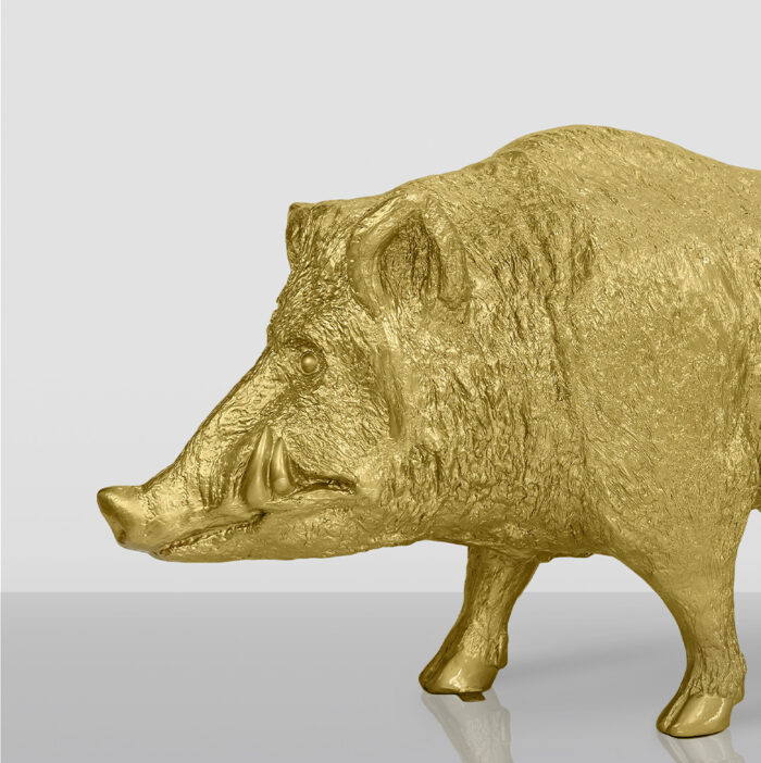 Golden wild boar statue on a reflective surface.