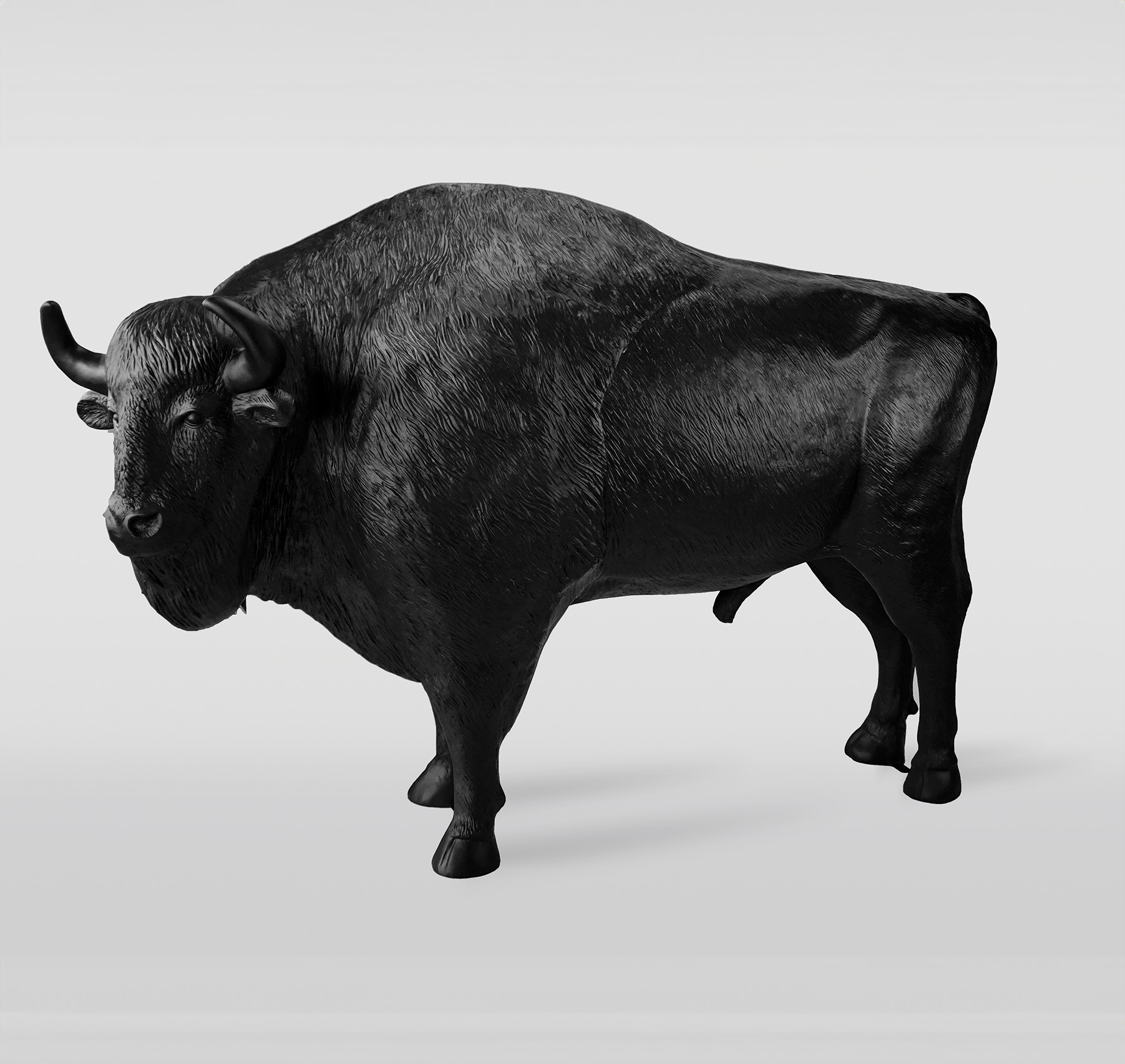 Bison for the Bison Zone 2 bizon 1