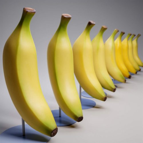 Realistic Large Banana Fiberglass Model